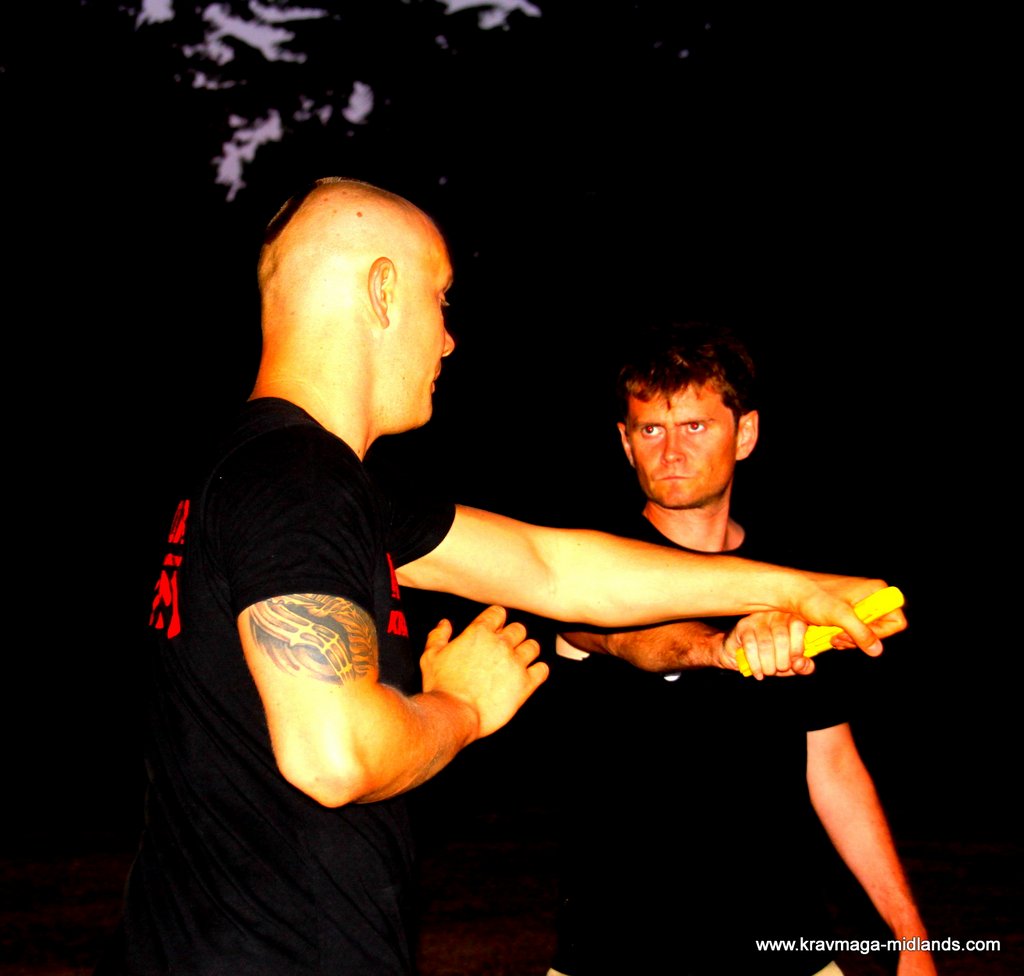 Night Park Scenarios 2013