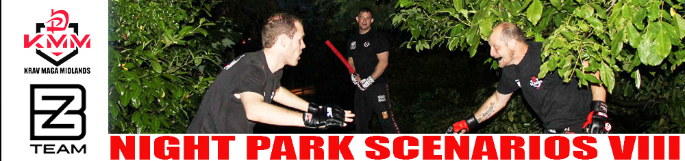 Night Park Scenarios Outdoor Krav Maga Training